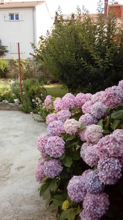 Room Ket Pula Dış mekan fotoğraf